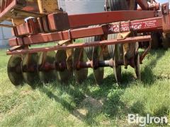 IMG_2128.jpeg