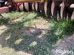 IMG_2125.jpeg