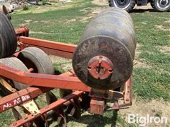 IMG_2104.jpeg