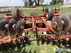 IMG_2103.jpeg
