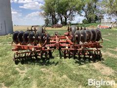 IMG_2082.jpeg