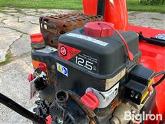 IMG_9407.jpeg