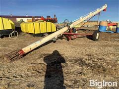 Feterl 10"x30' Load Out Auger 