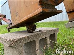 IMG_9120.jpeg