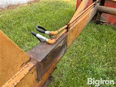 IMG_9138.jpeg