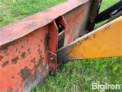IMG_9156.jpeg