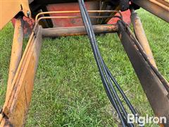 IMG_9140.jpeg