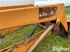 IMG_9132.jpeg