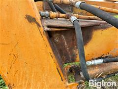 IMG_9131.jpeg