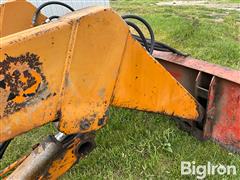 IMG_9133.jpeg
