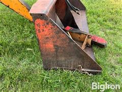 IMG_9146.jpeg