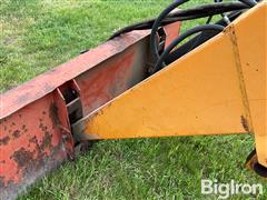 IMG_9137.jpeg