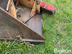 IMG_9147.jpeg