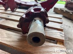 IMG_3681.jpeg
