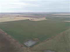 140.38+/- Acres Dryland Crop Ground, Texas County, OK