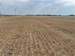 Wheat Stubble 1.jpg