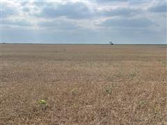 Wheat Stubble 2.jpg