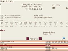 Lot 42 Pedigree.JPG