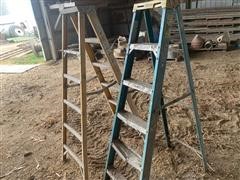 Werner 6’ Fiberglass Step Ladders 