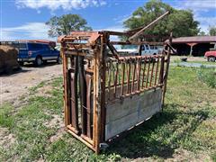 Cattle Processing Chute 