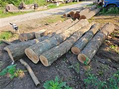 Honey Locust Logs 