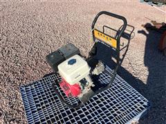 Troy Bilt Pressure Washer Engine & Pump 