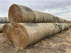 2023 Sorghum Sudangrass Round Hay Bales 