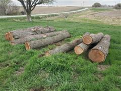 Walnut Logs 