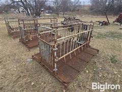 Raised Deck Farrowing Crate 