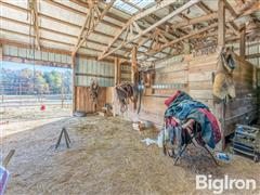 Small Stables-5.jpg