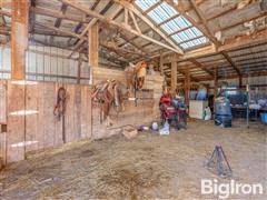 Small Stables-1.jpg