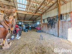 Small Stables-6.jpg