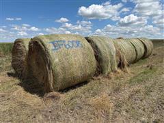 Native & Introduced Grass Hay Bales 