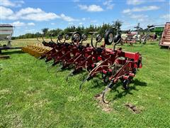 items/644d77a0b63fef11b4ad000d3acfdee0/international18312r30cultivator-5_2030186a99824984a0c0d27cf4ef04af.jpg