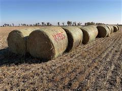 Millet (Forage) Hay Big Rounds 