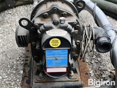 DSC_7575.JPG