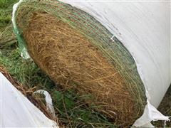 Grass Hay 