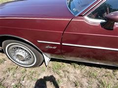 IMG_6735~photo.JPG