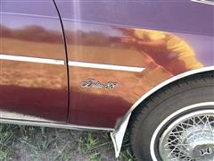 IMG_6716~photo.JPG