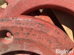 IMG_3187.jpeg