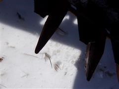 DSCF6442.JPG