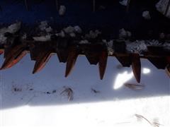 DSCF6440.JPG