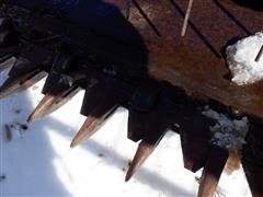 DSCF6443.JPG