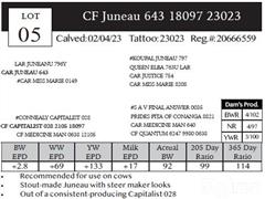 Lot 5 Pedigree.JPG