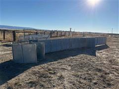 Sheep Working Alley 