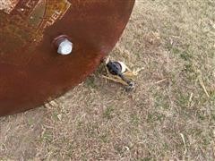 IMG_8231.JPG