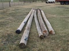 items/6ae0e2dd7d48ed1197b00003fff934d4/highlinepoles-22_000743c053814509bbfa1441a0997aa7.jpg