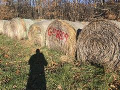 Mature Cereal Rye Bales 