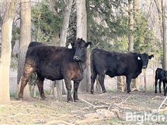 IMG_5811.JPG
