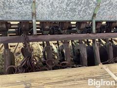 IMG_5623.jpeg